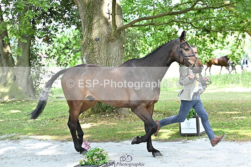 250521A-151503-00372 - B-305-Andrew.James-LANDORADO