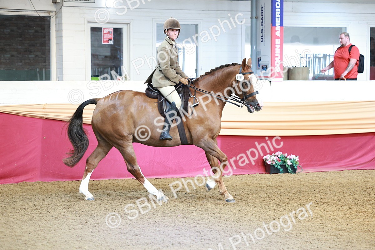 SBM_11972 - Class 102 - Equitation (Best Rider) Adult