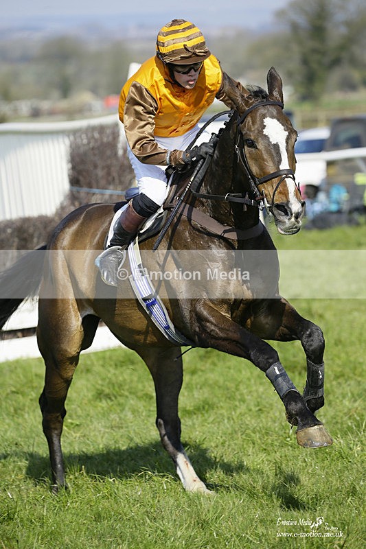 PtP 200322 256 - Mendip Farmers Point-to-Point 20/03/22