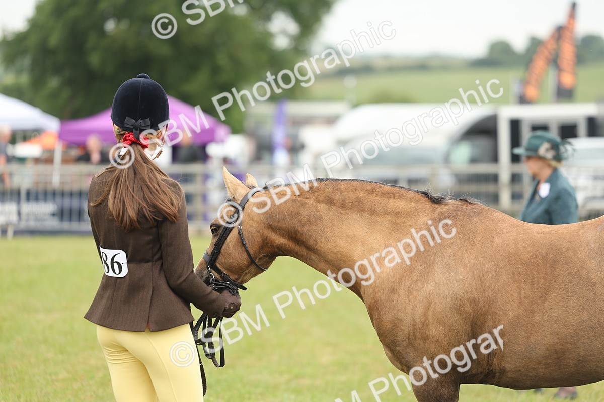 SBM_07120 - Class 76-77 - Ridden M&M Welsh Ponies