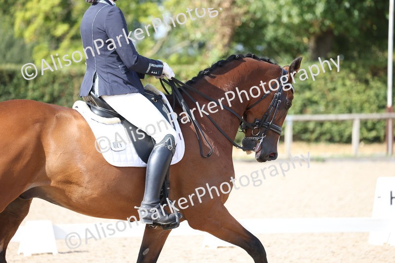 20250820-1533 - Class 20 - Medium 4