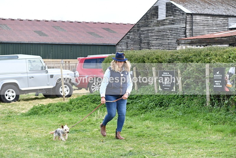 WJ5_0116 - Class 5 Best Veteran / 7 years & over