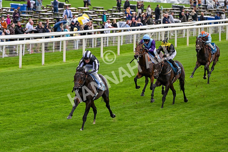060926-Race 1-Mezzo Forte-0037 - Race 1 1.30pm Irish Thoroughbred Marketing 'Confined' EBF Maiden Stakes