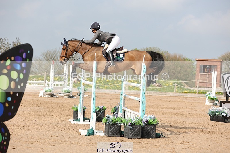 250424-104008-03160 - Cls 33 Young Horse 7yr old