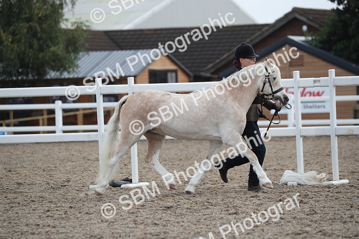 SBM_22529 - Class 604 - 2025 Area - IH Diamond