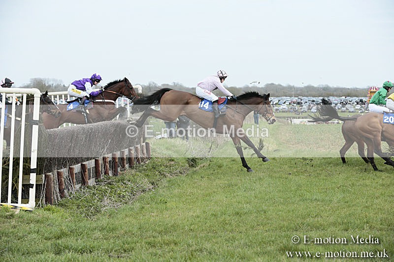 PtP 230319 188 - VWH Hunt Siddington Point-to-Point Racing 23/03/19