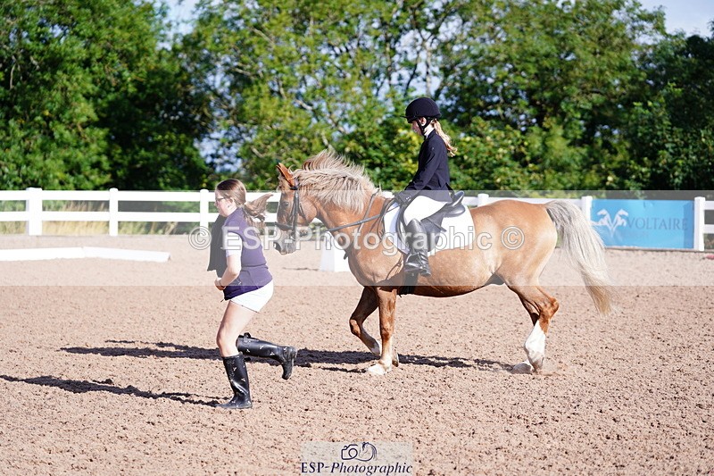 240809A-085246-00120 - Dressage Competition