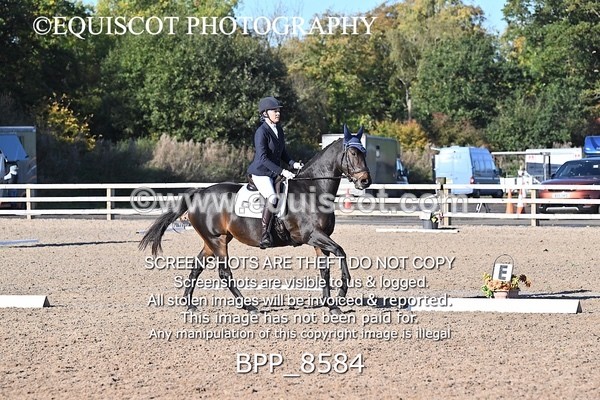 BPP_8584 - LONG ARENA