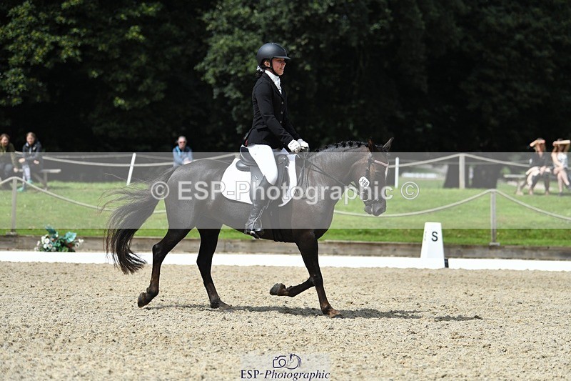 230812-121430-04068 - Cls 6 Novice Silver 12.10 to End