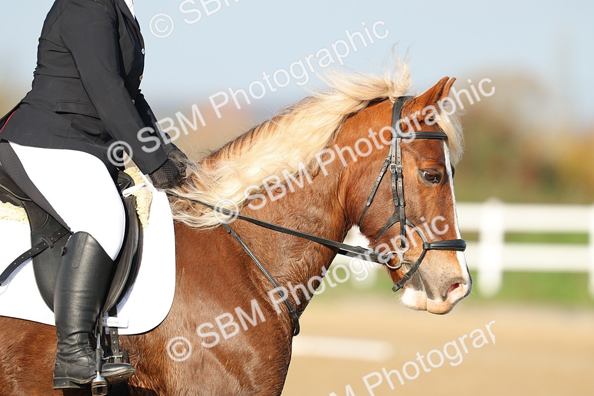 SBM_002932 - Class 1 - Intro 2