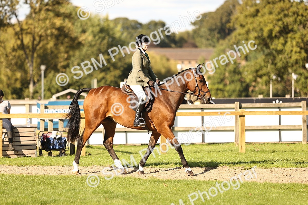 SBM_26459 - S6 - Novice & Newcomers Ridden Horse