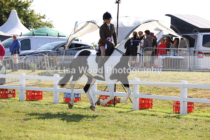 3E7A4100 - Supreme Championship