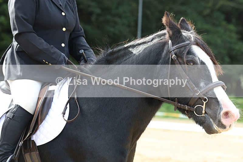 3E7A2327 - Class 1: Intro 4 2024 section A