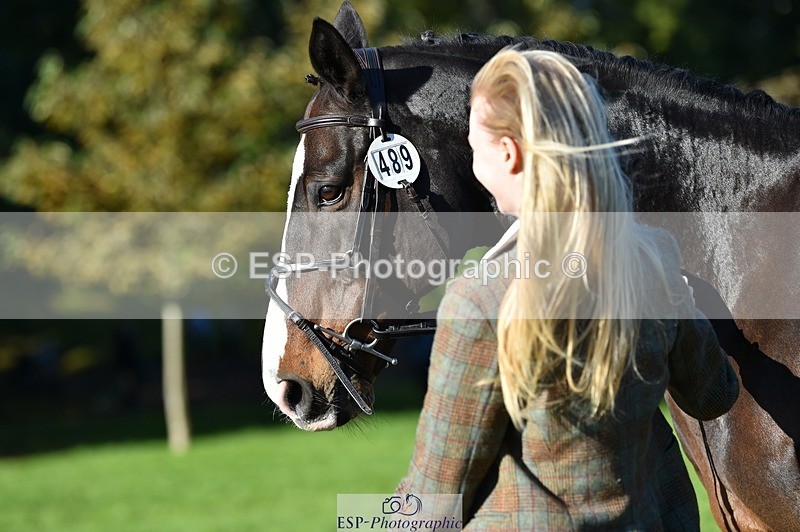231022-104904-23516 - 489-MY.GALWAY.MAN-Daisy.Hood-TrotUp+SJ