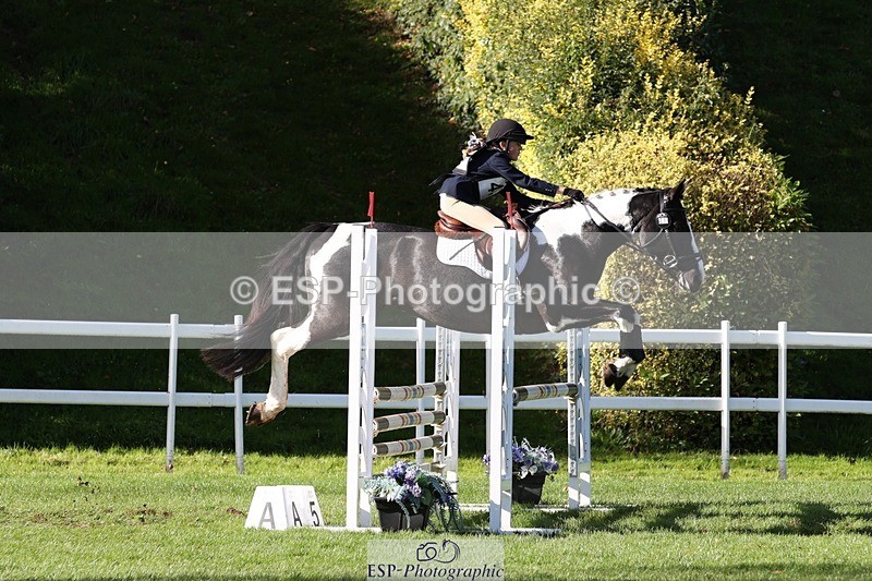 231022-143911-28264 - 438-KILCORBAN.MY.FAIR.LADY-Natasha.Crapper-TrotUp+SJ