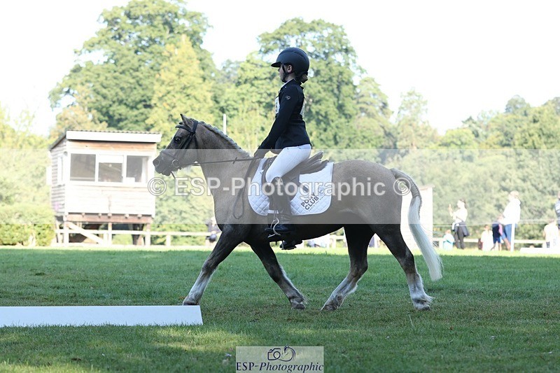 250823A-091214-25883 - Arena D