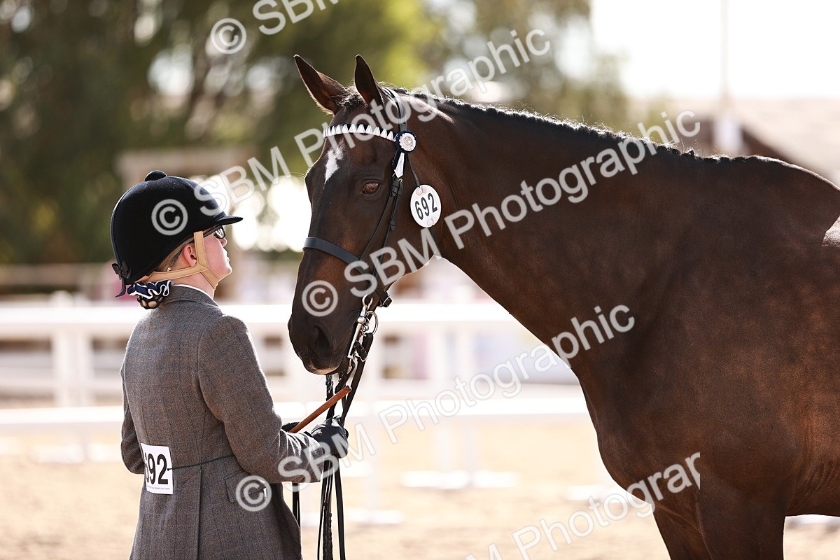 SBM_14211 - Class 407 - IH Hack Riding Horse