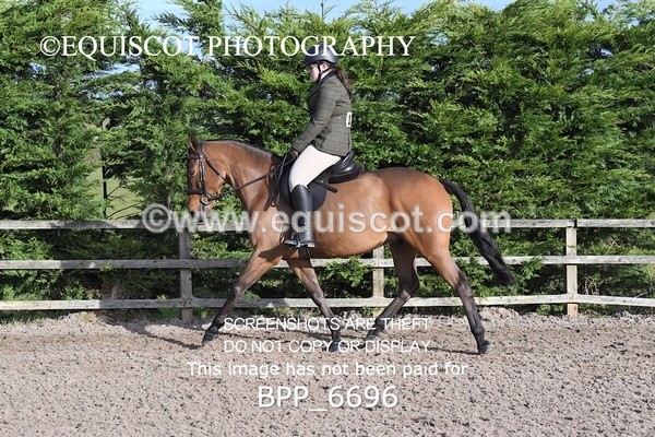 BPP_6696 - RING 1  (RIDDEN HORSES / IN HAND / VETERAN ETC)