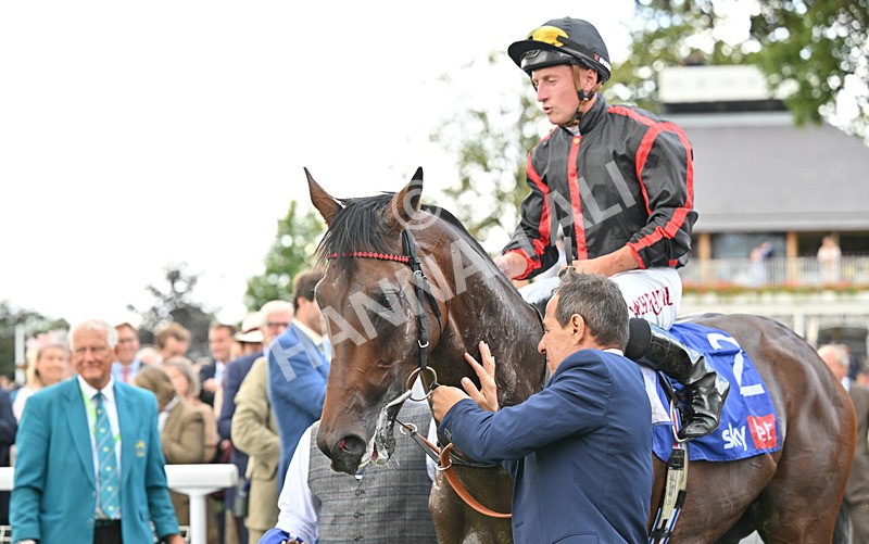 190826-099 Maltese Cross - Race 3 15.00pm Sky Bet Great Voltigeur Stakes