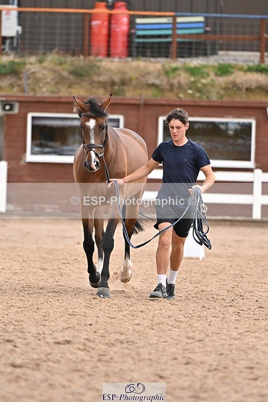 250716-145527-01508 - Trot Up 2.30 to 3.30