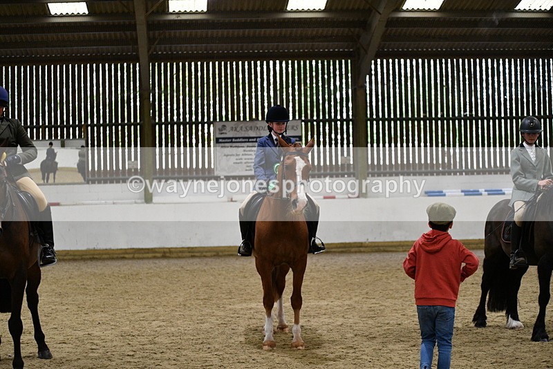 WJ5_8082 - Class 13 Ridden Part Breed