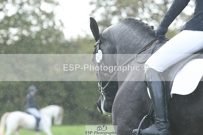 251023A-133658-04779 - F-424-Anastasia.Eaton