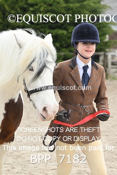 BPP_7182 - RING 1  (RIDDEN HORSES / IN HAND / VETERAN ETC)