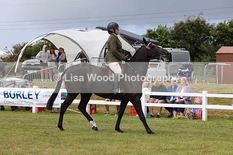 3E7A0886 - Class 8: Open Riding Horse/Hack