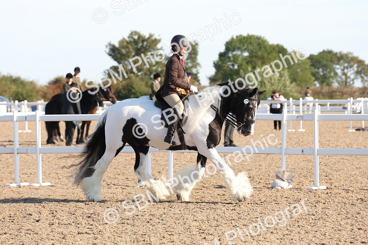 SBM_10882 - Class 202 - Best Turned Out - Ridden