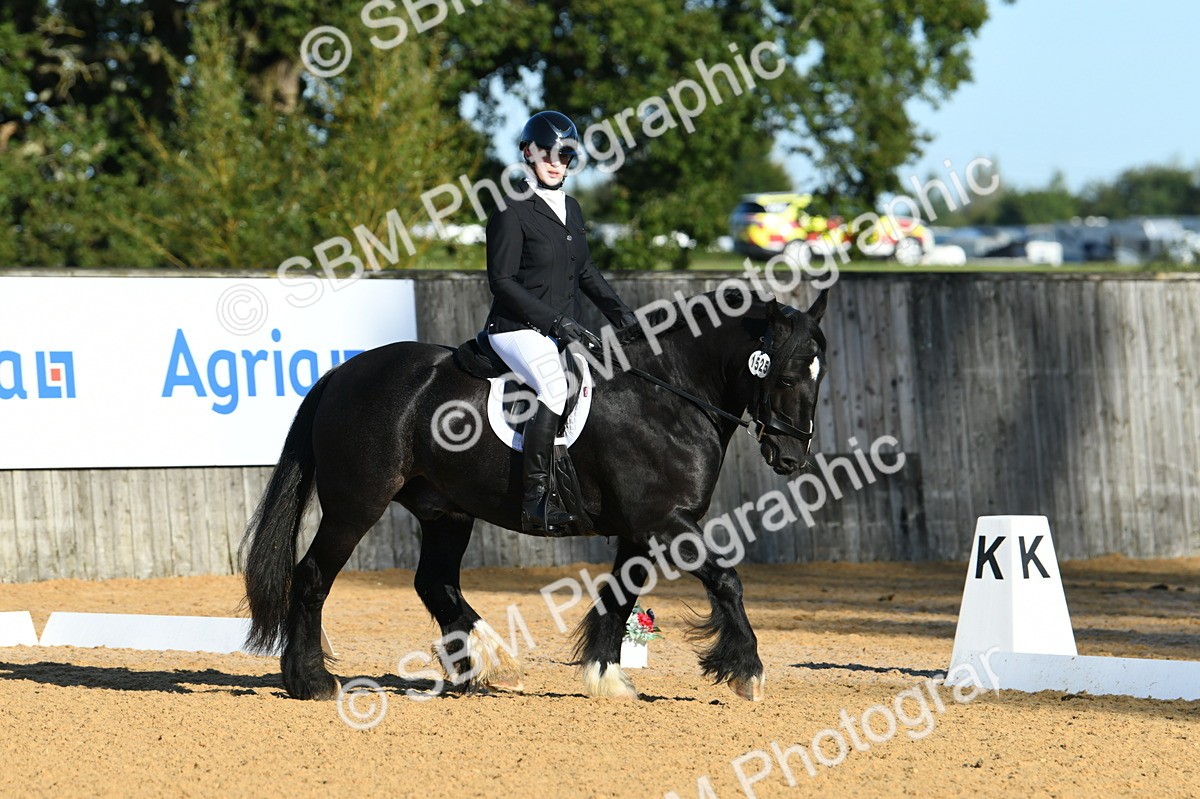 SBM_14498 - D4 - Small Tour Championship - Intro B