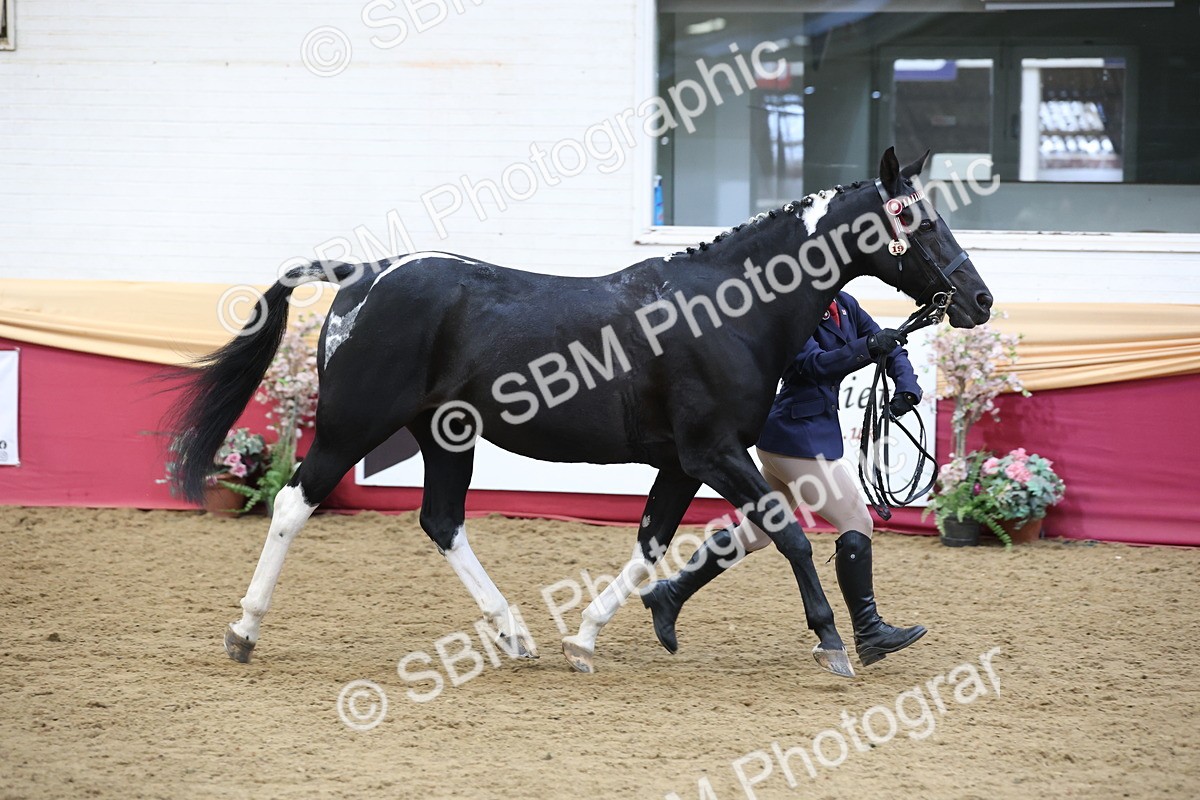 SBM_23655 - class 906 - Supreme Final - Ridden Pre Vet