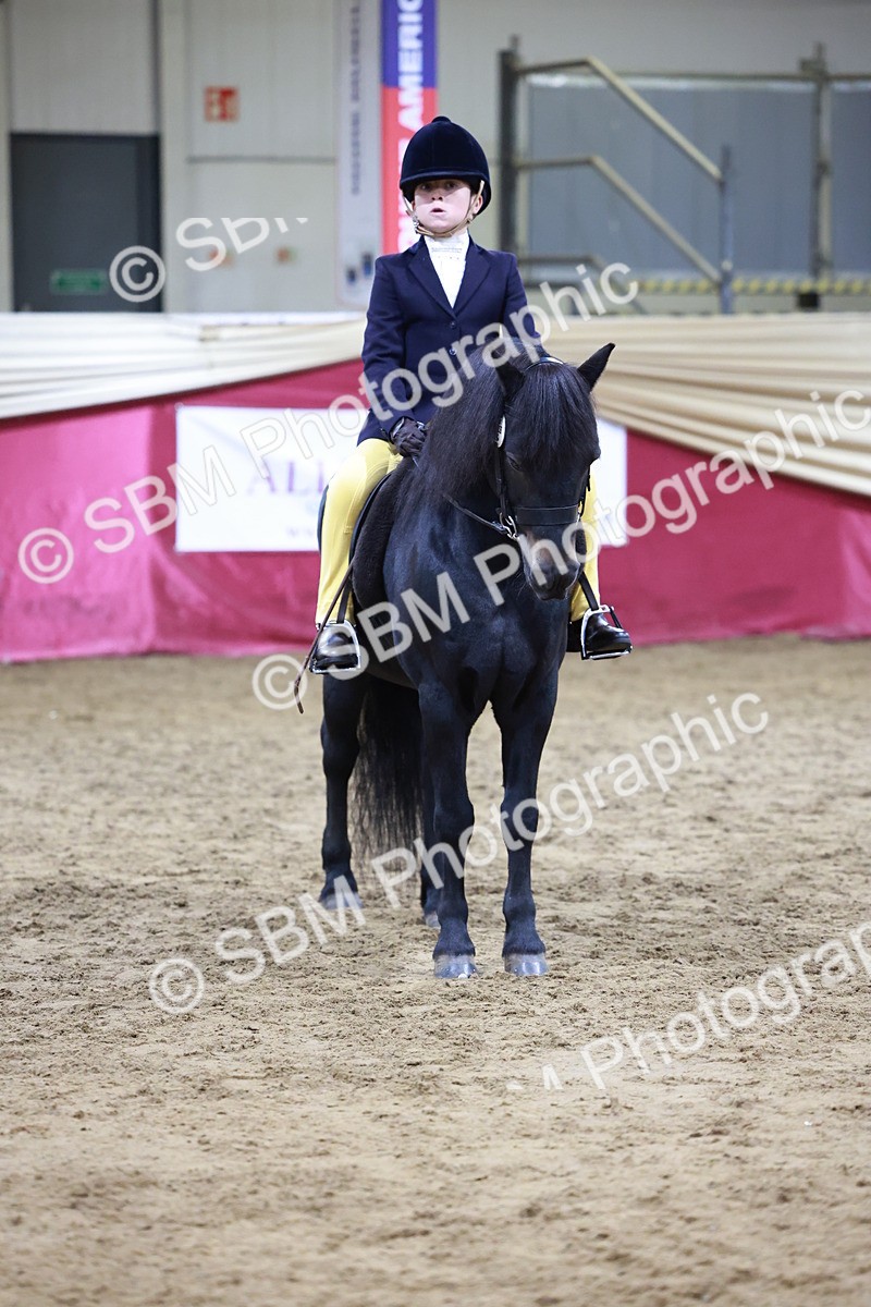 SBM_20561 - Class H - IH Competition - Riding Club champ