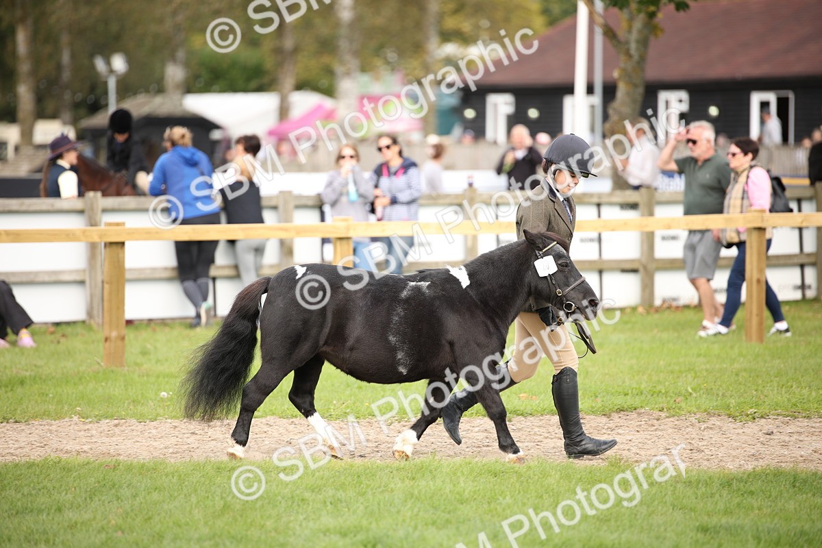SBM_46329 - S25 - Mature Veteran In Hand