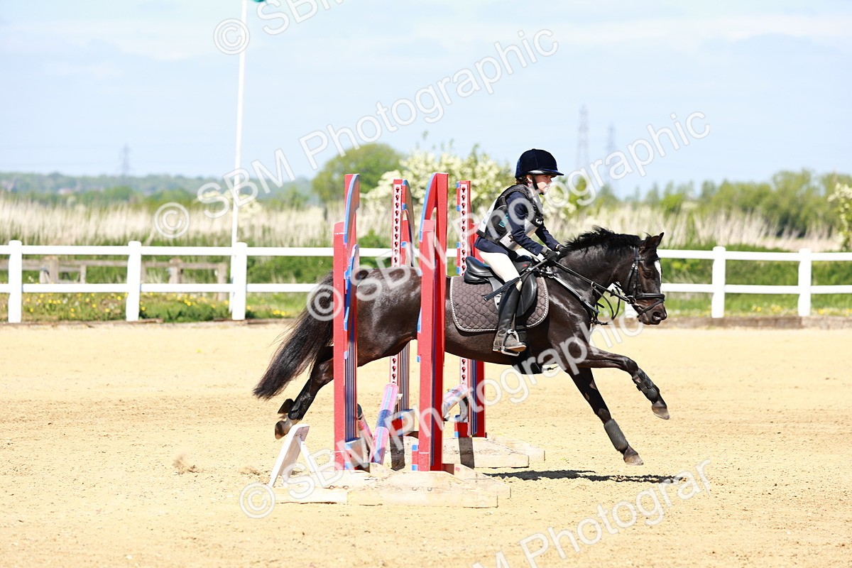 SBM_007337 - Class 3 - 60cm