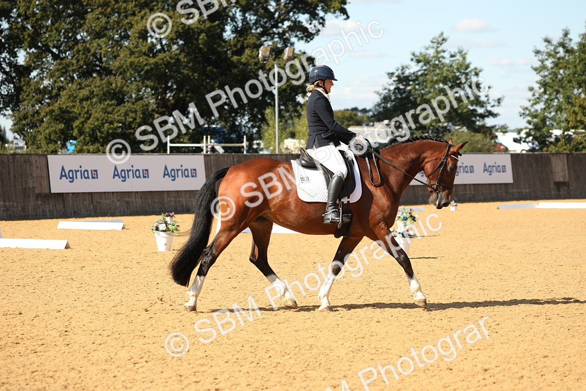 SBM_24533 - D17 - Grand Tour Championship - Novice 27