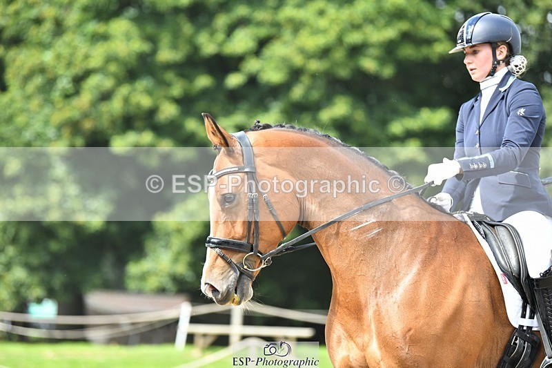 230812-114327-03682 - Cls 6 Novice Silver 10.30 to 11.55 break