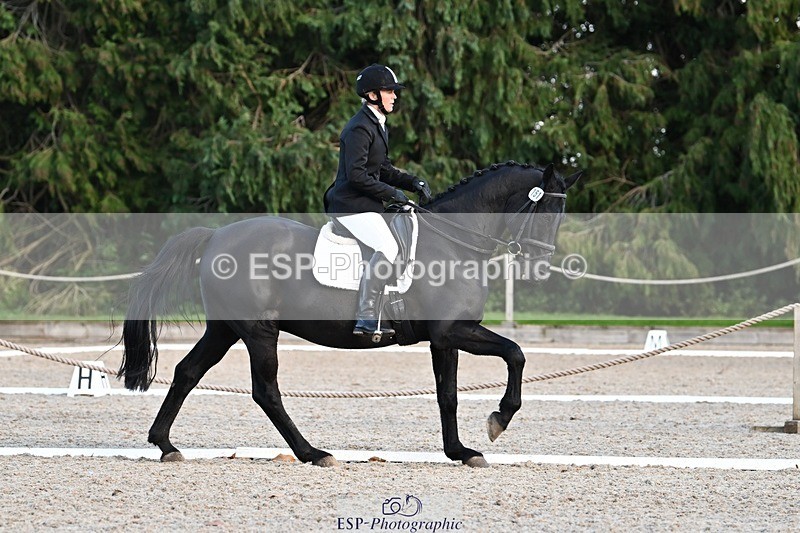 231110-134938-01070 - Cls 4 Novice 39Q