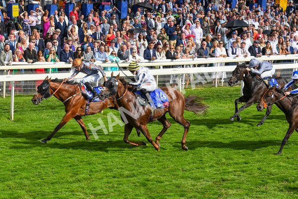 260823-Race 5-Summerghand-Albasheer-0772 - Race 5 Sky Bet Constantine Handicap