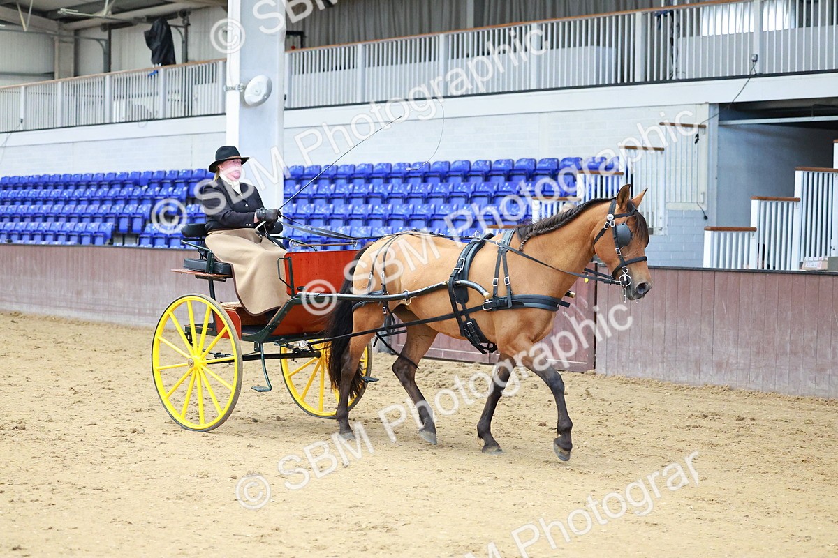 SBM_001054 - Class 15 - Open Showmans Class