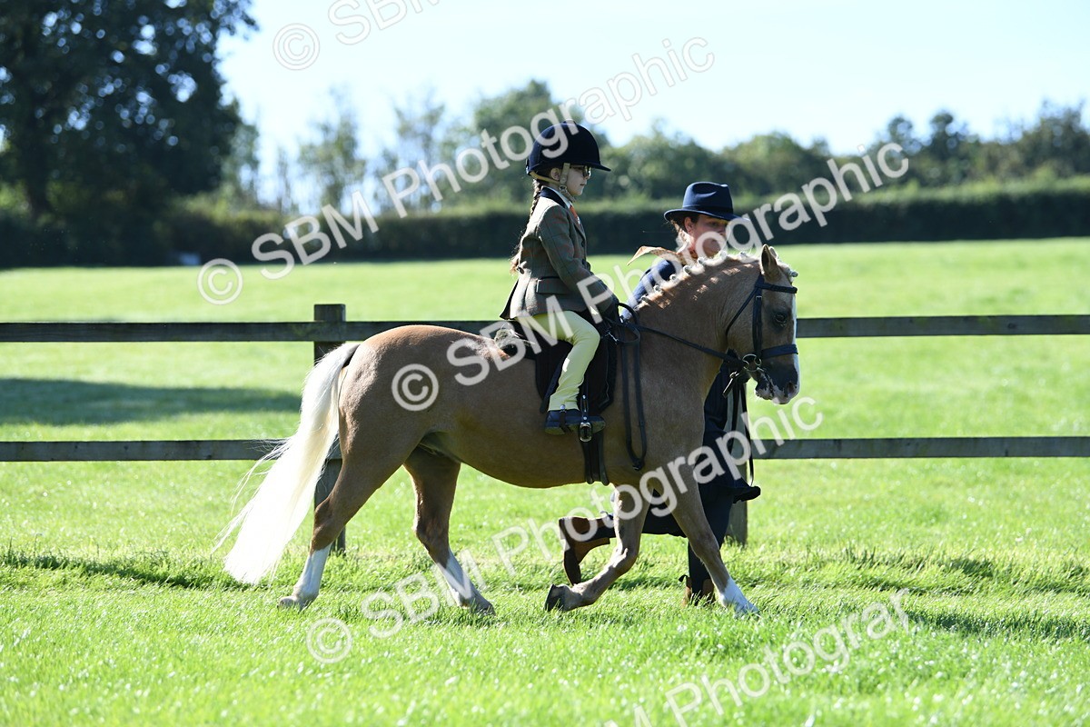 SBM_36819 - S18 - Novice & Newcomers Lead Rein Pony
