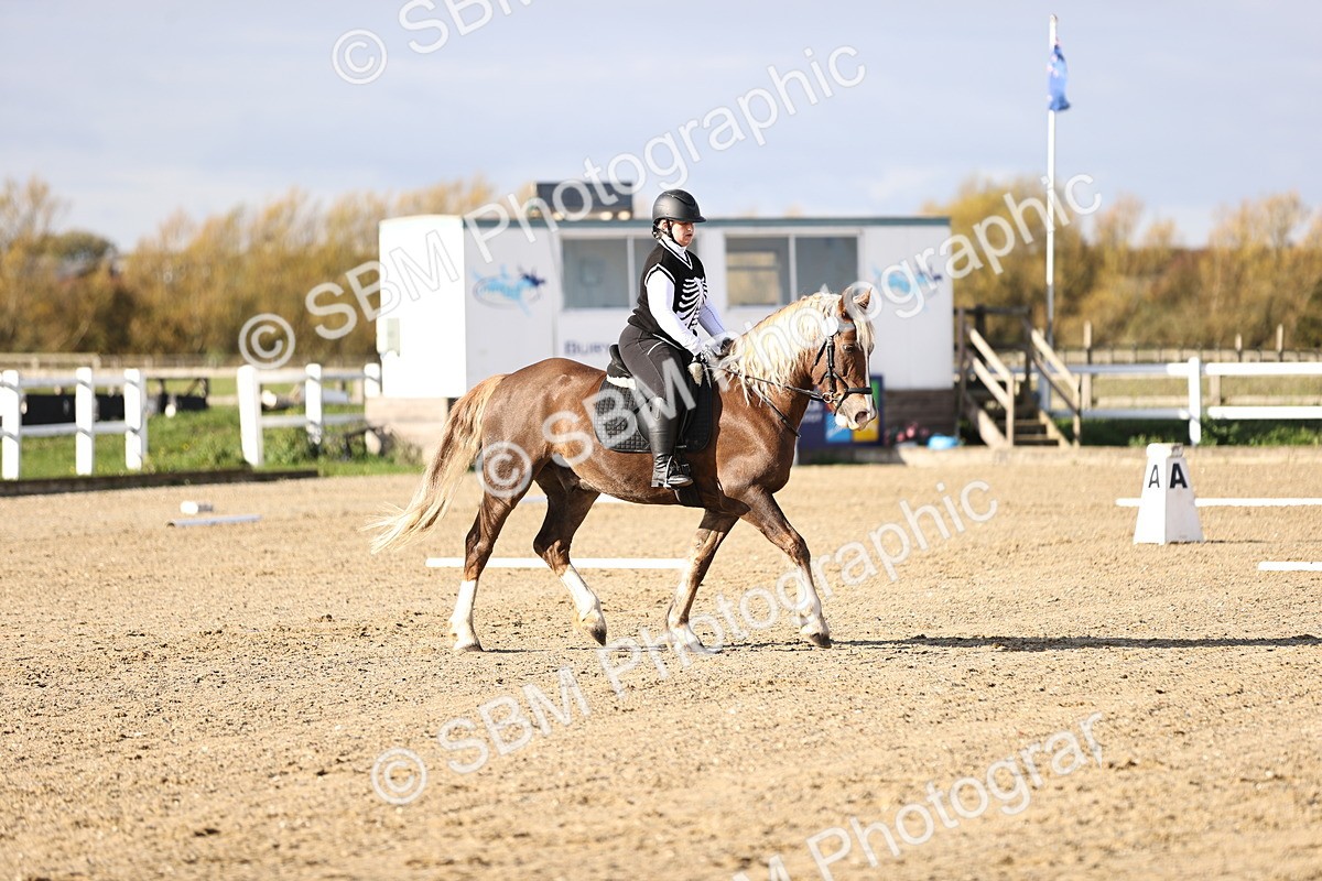 SBM_001311 - Class 2-4 - Intro 1 Intro 3