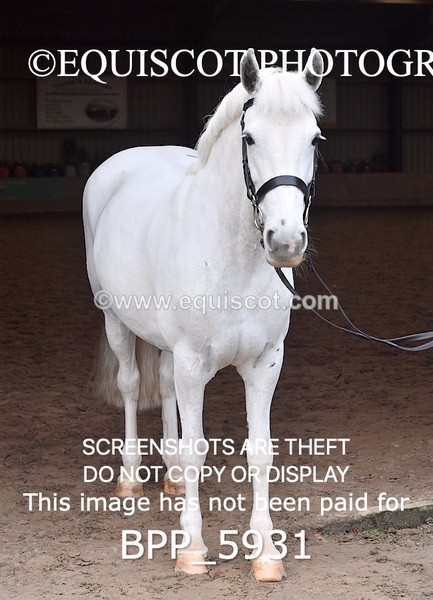 BPP_5931 - Erin Hancock ×2