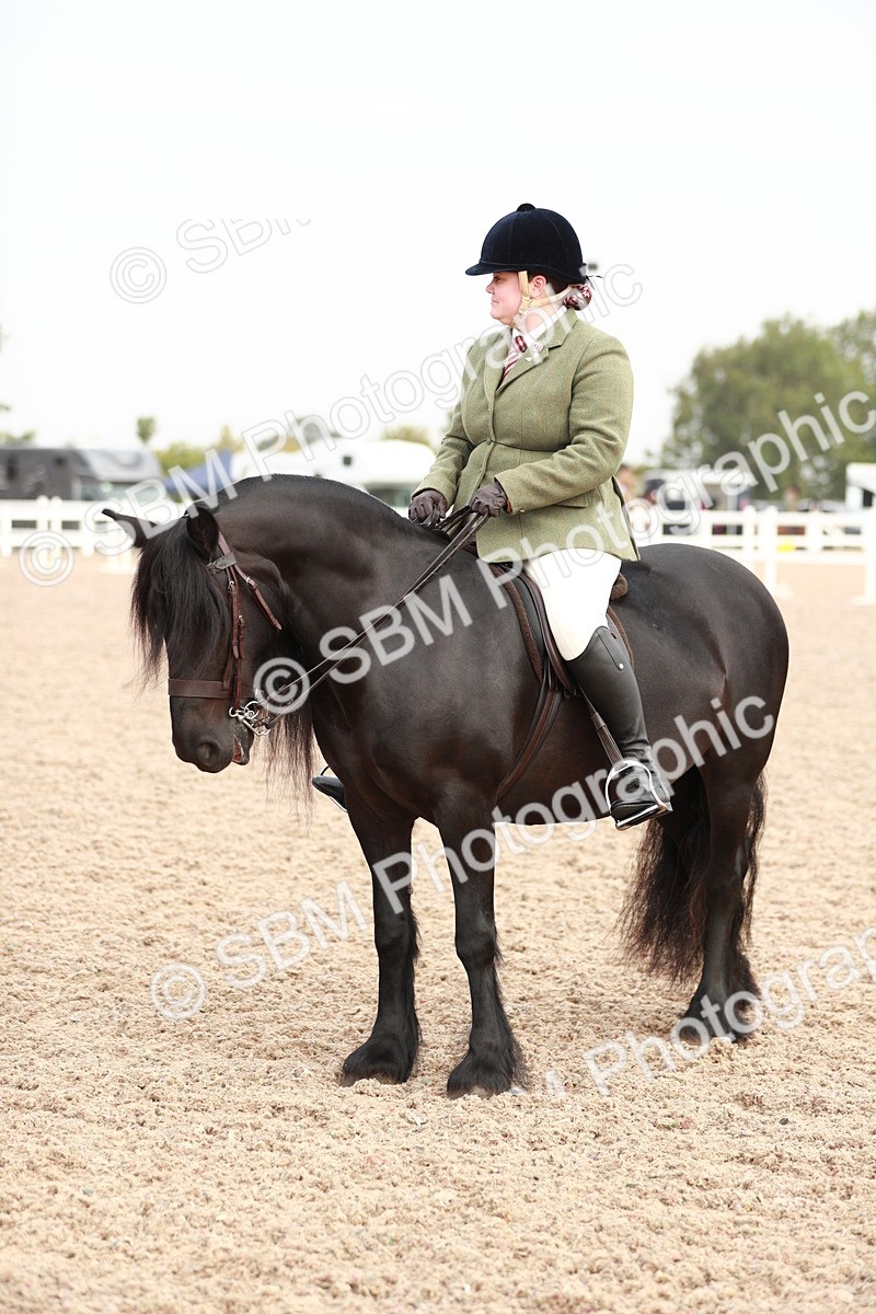 SBM_09422 - Class 202 Best Turned Out Ridden