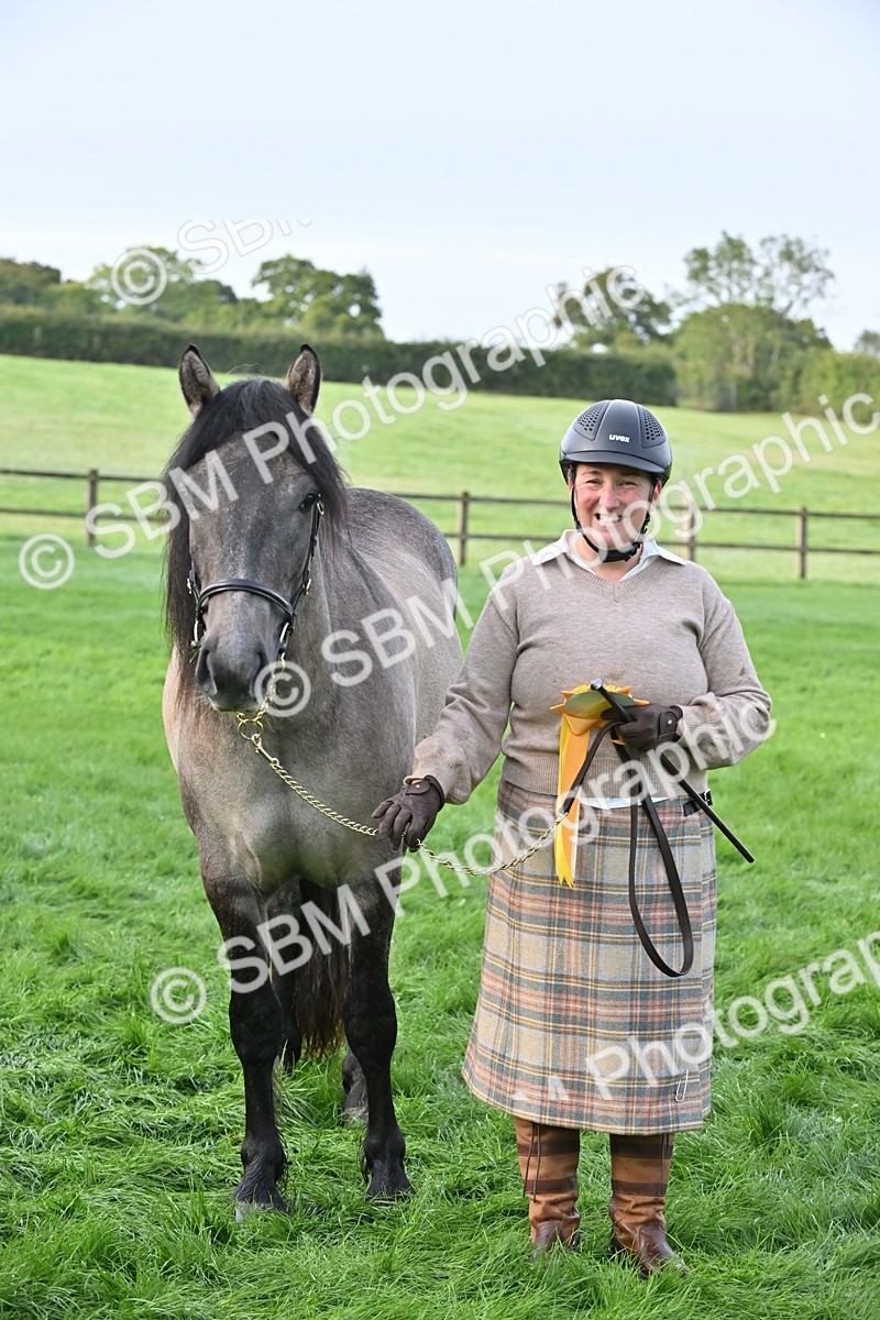 SBM_55379 - S44 - Youngstock In Hand