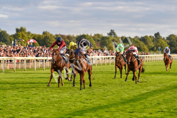 230923-Race 7-Two Brothers-7176 - Race 7 5.30pm Neil Atkinson's 60th Birthday Celebration Handicap