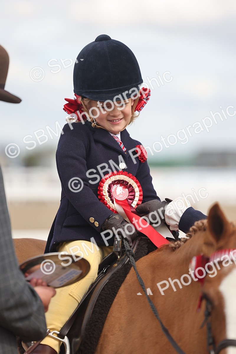 SBM_15821 - Class 309 - Lead Rein Pony