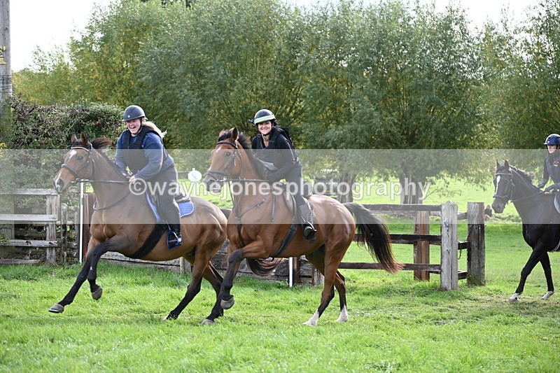 WJ6_4803 - Time 15:01 to 15:34