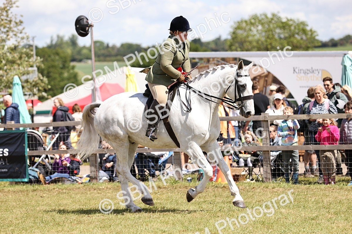 SBM_14760 - Class 88-89 - LIHS BSHA Rising Star of Ridden Hunter Type