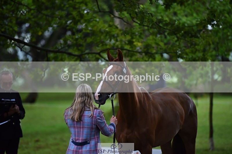 240522-161616-00826 - 166-MEXICAN_LAW-Isabelle_Cook