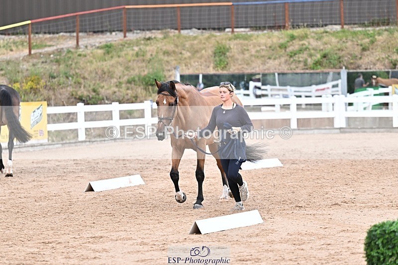 250716-164203-00747 - Trot Up 4.30 to 5.00